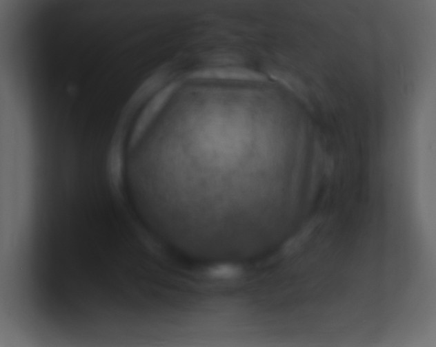 X0000100940053200807081243