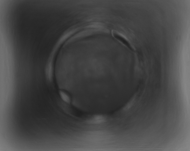 X0000100940056200807081243