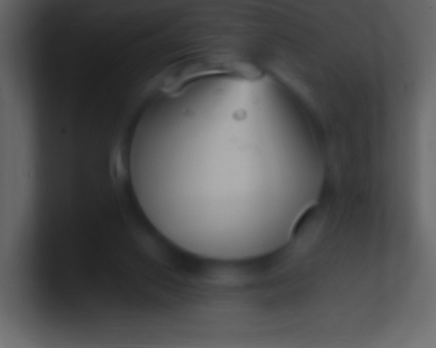 X0000100940062200807081244