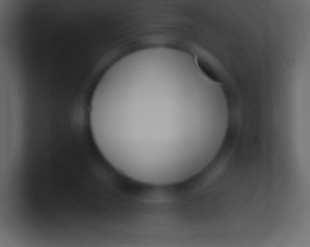 X0000100940064200807081244