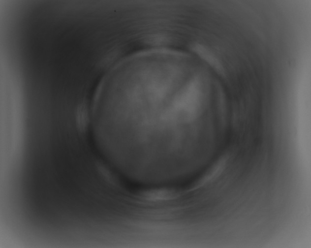 X0000100940065200807081244