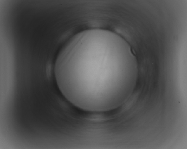 X0000100940066200807081244