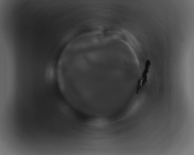 X0000100940067200807081244