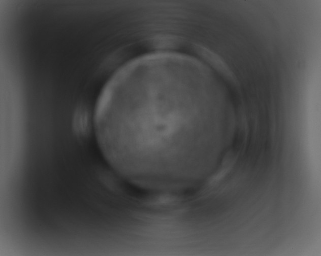 X0000100940074200807081244