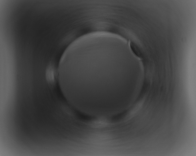 X0000100940076200807081244