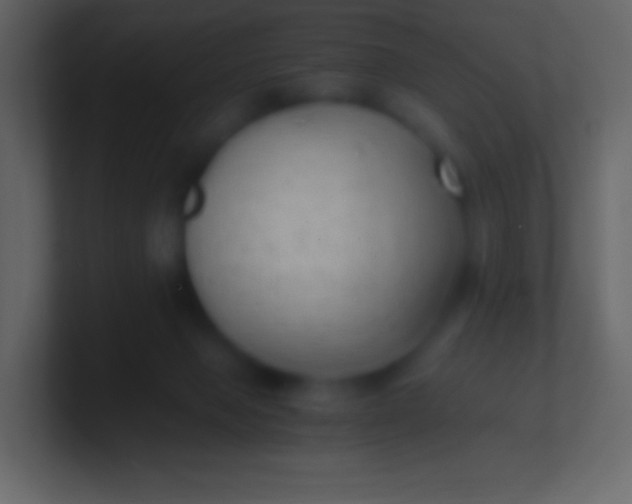 X0000100940077200807081244