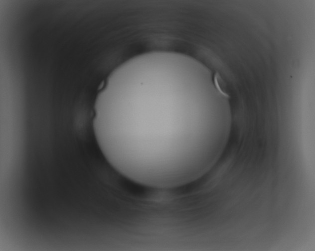 X0000100940079200807081244