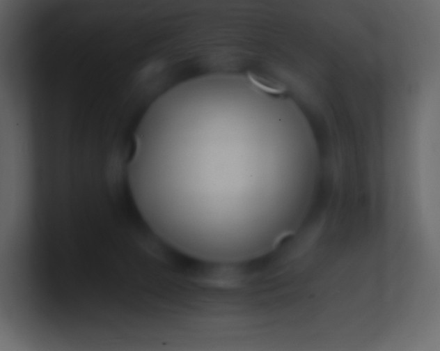 X0000100940081200807081244