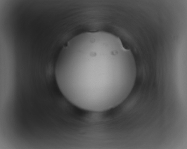 X0000100940084200807081244