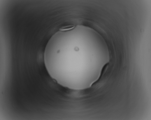 X0000100940096200807081244