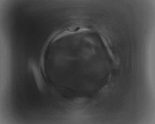 X0000100940099200807081243