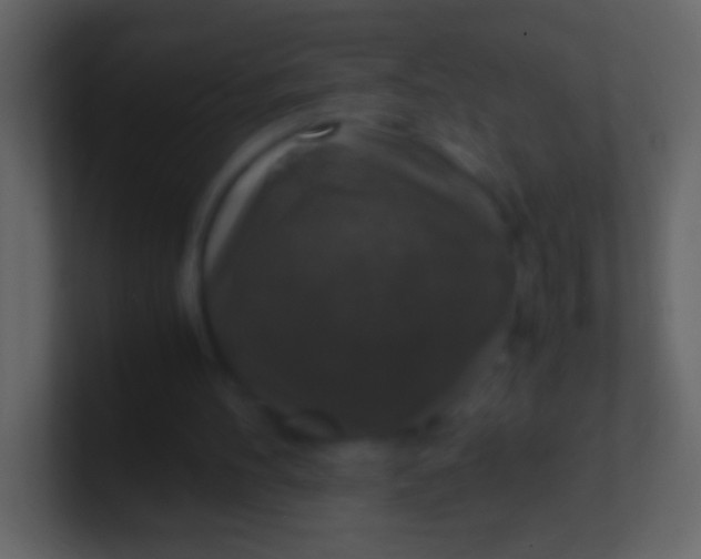 X0000100940100200807081243