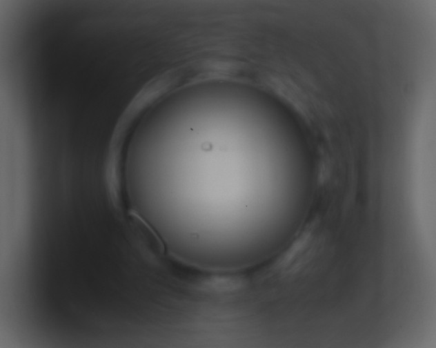 X0000100940101200807081243