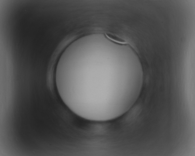 X0000100940103200807081243