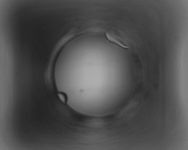 X0000100940104200807081243