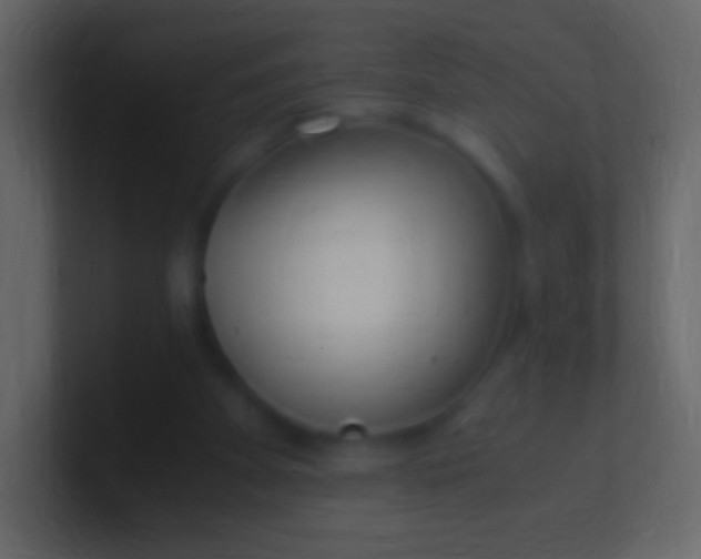 X0000100940105200807081243