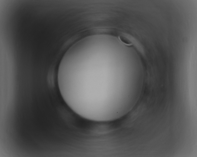 X0000100940107200807081243