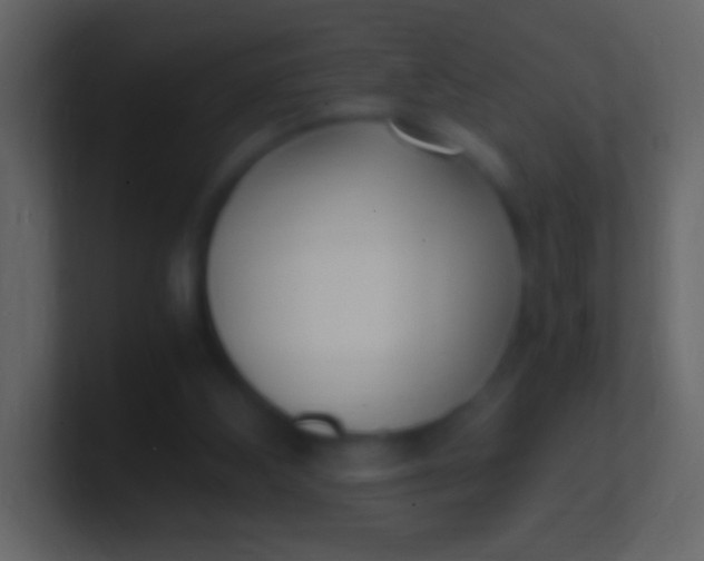 X0000100940108200807081243