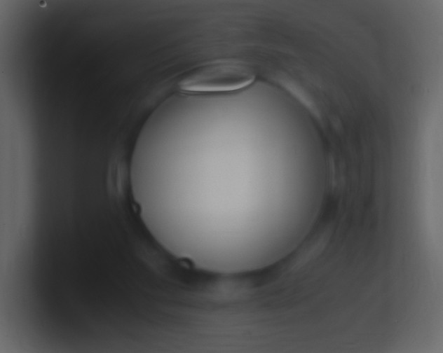 X0000100940109200807081243