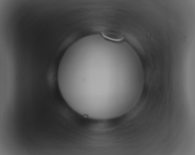 X0000100940116200807081243