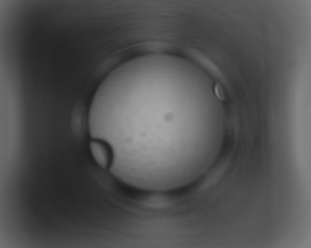 X0000100940119200807081243