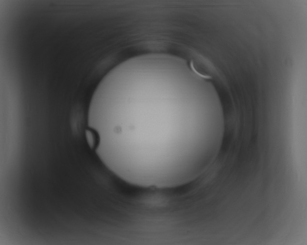 X0000100940120200807081243