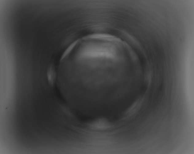 X0000100940124200807081243