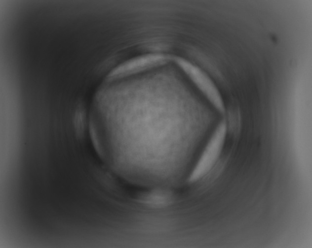 X0000100940128200807081243