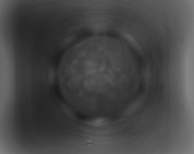 X0000100940130200807081243