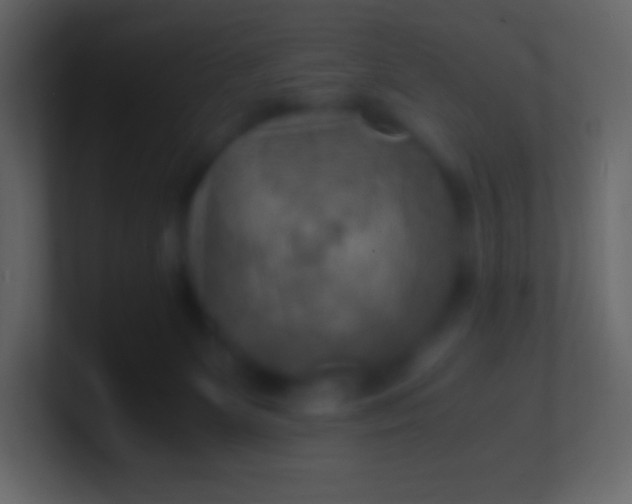 X0000100940131200807081243