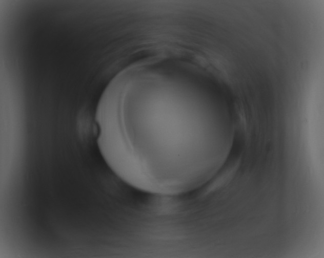 X0000100940139200807081243