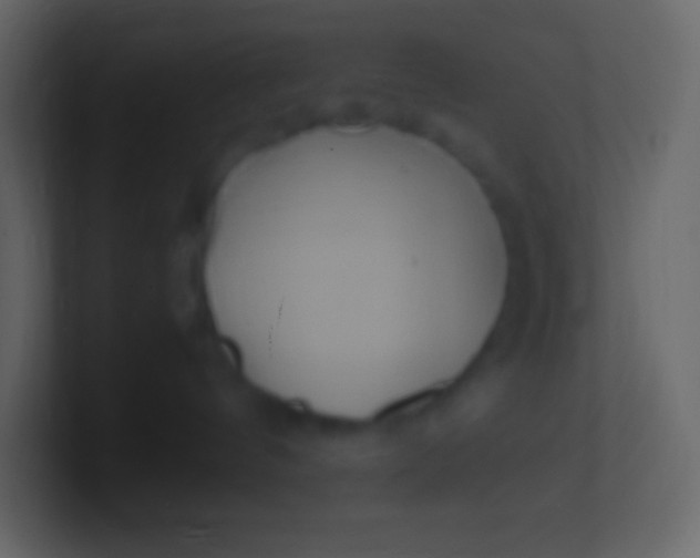 X0000100940144200807081243