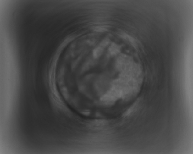 X0000100940145200807081242