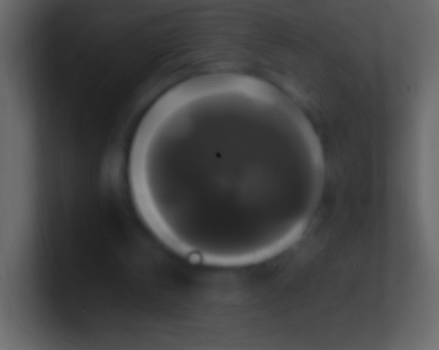 X0000100940146200807081242