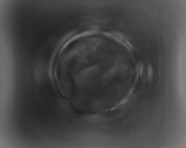 X0000100940147200807081242