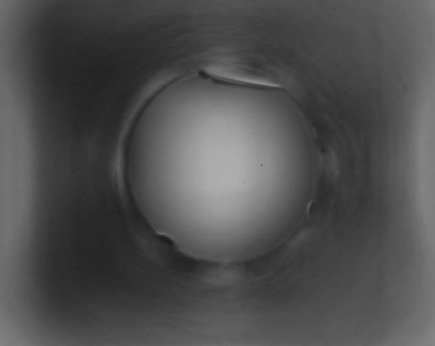 X0000100940148200807081242