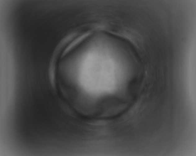 X0000100940149200807081242