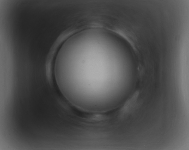 X0000100940151200807081242