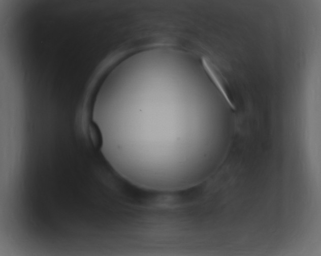 X0000100940152200807081242