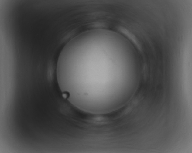 X0000100940153200807081242