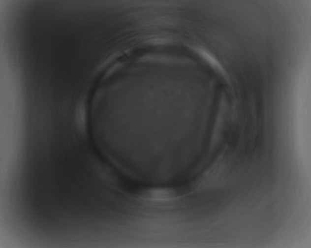 X0000100940154200807081242