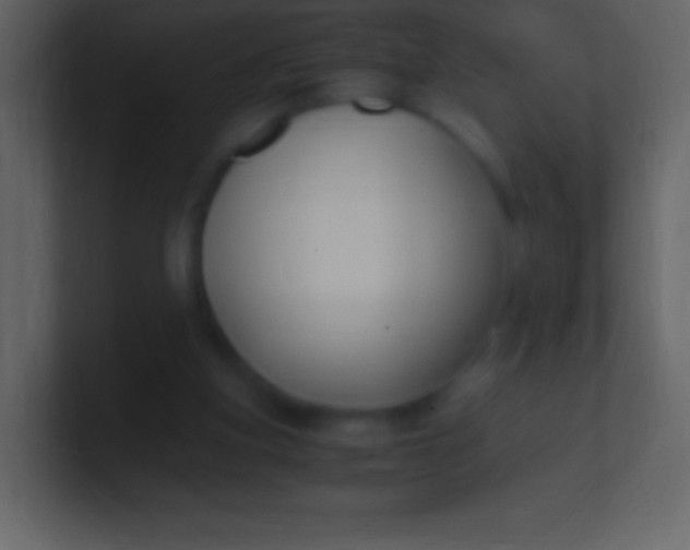 X0000100940155200807081242