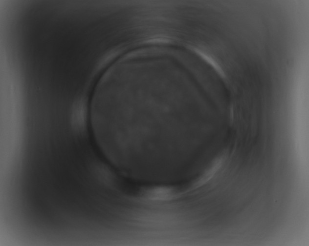 X0000100940156200807081242