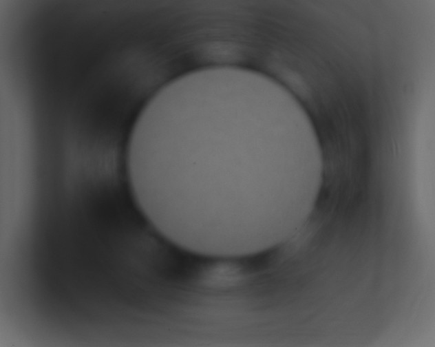 X0000100940162200807081242