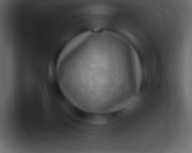 X0000100940166200807081242