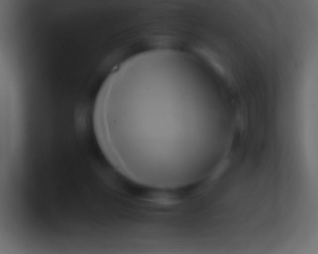 X0000100940167200807081242