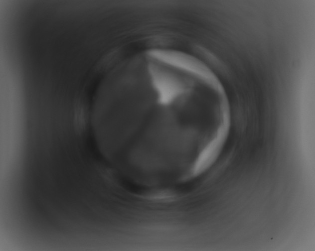 X0000100940169200807081242