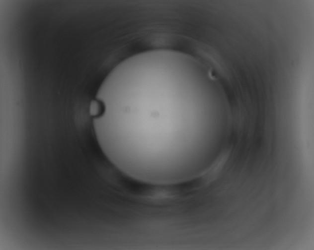 X0000100940175200807081242