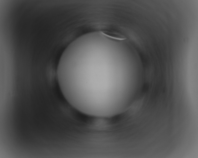 X0000100940176200807081242