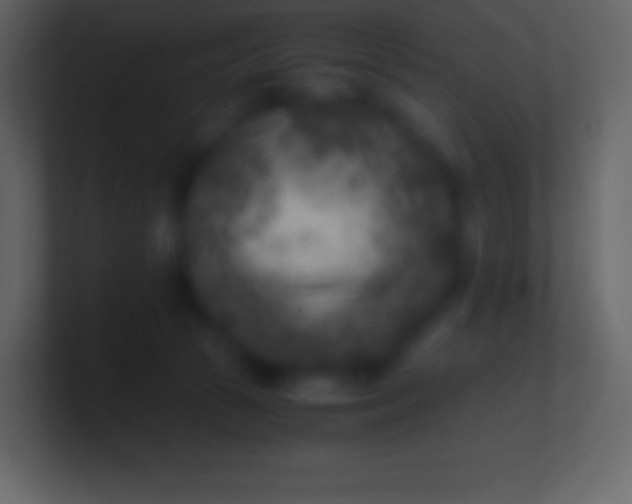 X0000100940177200807081242